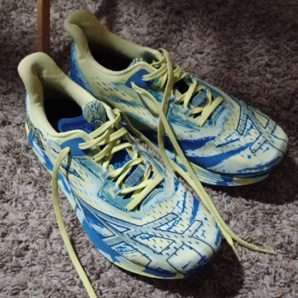 ASICS Noosa Tri 15 Running Shoe